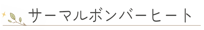 【2026年福袋】サーマル