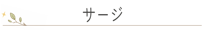 【2026年福袋】サージ